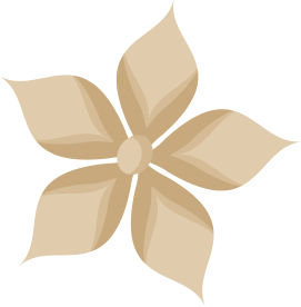 Pure Life Style-about-02